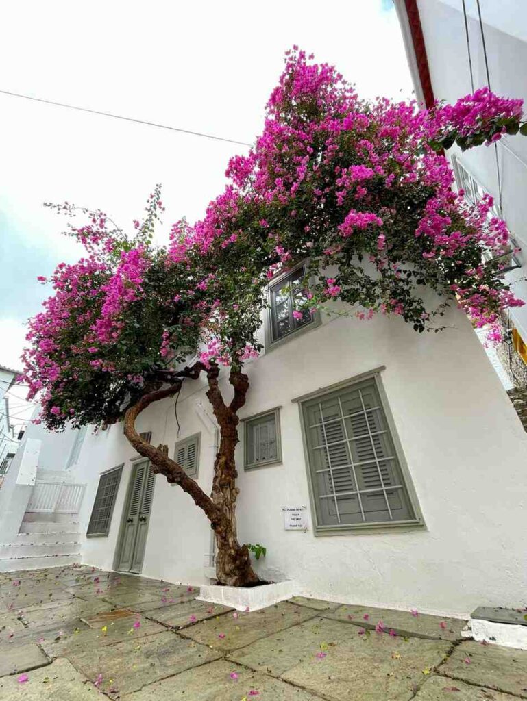 26.CAYAsail_Destinations_6