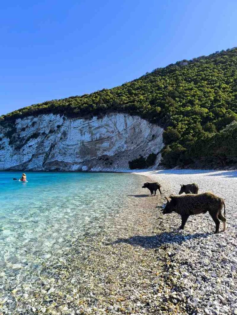 5.CAYAsail_Destinations_1